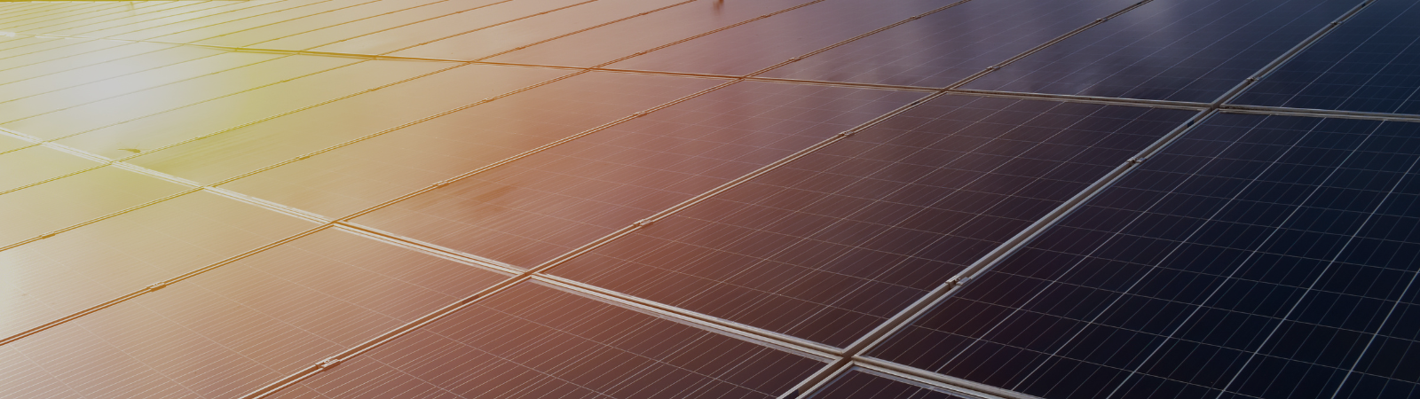 Tra le primissime CER operative, la prima a Castellarano: presentata la “Luigi Viappiani SC”