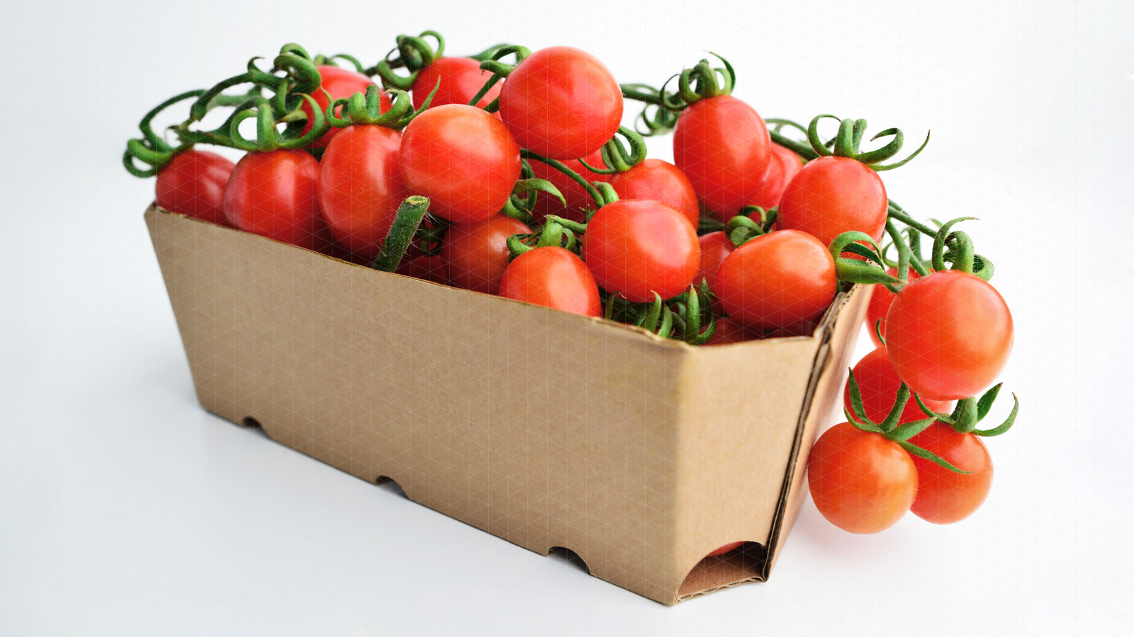 Macfrut 2021 tomato
